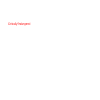 Orangutan