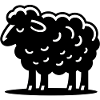 Black Sheep