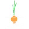 Onion