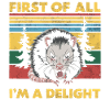 Opossum Possum Animal