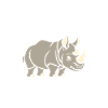 rhinocéros