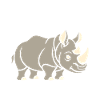 rhinocéros