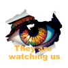 Eye, surveillance