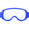 Ski goggles