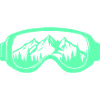 Ski goggles