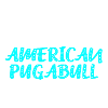American Pugabull Owner Owner