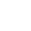 Silky Terrier