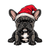 French Buldog Dog Christmas
