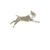 Cadeaux Boston Terrier