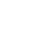 2005