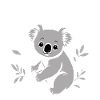 Australia Koala