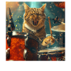 Chat