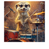 Suricate