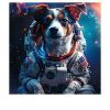 Hund