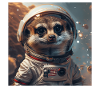 Meerkat