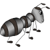 Ant