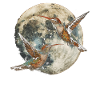colibri oiseau lune hurlante