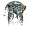 Kolibri Vogel Heulender Mond