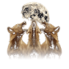 Hyena African Animal Howling Moon