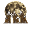 Hyena African Animal Howling Moon