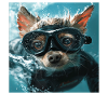 Chien