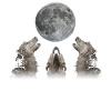Irish Wolfhound Chien Howling Moon