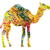 Kamel