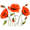 Blumen