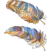 Pen