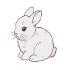 Hare
