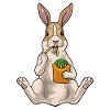 Frites lapin