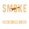 Cigar smoking Cuba connoisseur