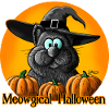 Halloween cat with witch hat