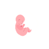 Doula Gift Doula Doulas