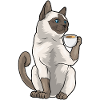 Siamese Cat Coffee Mug