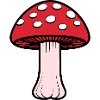 Champignon Fantaisie Rouge et Blanc