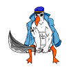 Seagull Muscles