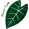 Alocasia Frydek