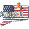 Connecticut United States Retro Map