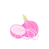 Onion
