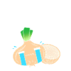 Onion