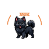 Kaffee und Norwegischer Elchhund