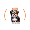Coffee and Biewer Terrier