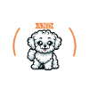 Coffee and Bolognese
