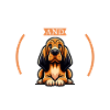 Café et Bloodhound