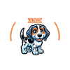 Café et Bluetick Coonhound