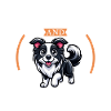 Café et Border Collie