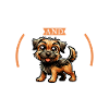Coffee and Border Terrier