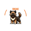 Coffee and Bouvier des Ardennes