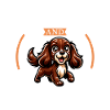 Café et épagneul Boykin